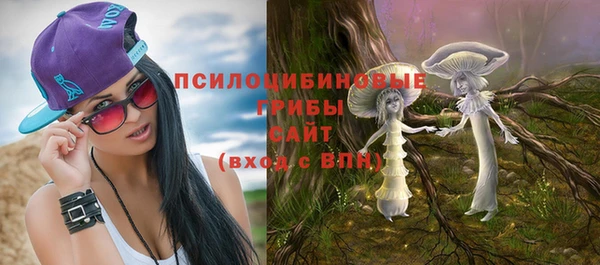 винт Верея